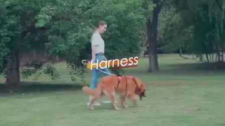 휴대용 조정 가능한 여행 야외 고양이 개 하네스 애완 동물 제품 Mokofuwa