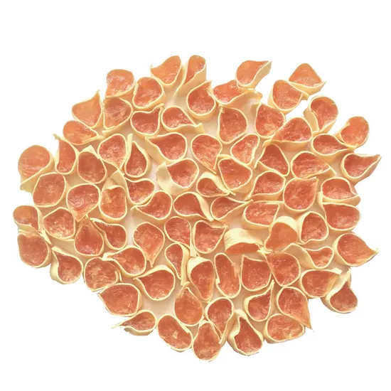 치아 청소를 위한 양질의 개 제품 애완동물 공급업체