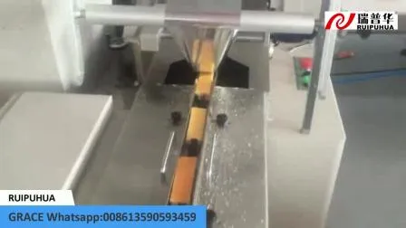 애완동물 커버 패키지가 포함된 일일 치아 청소용 칫솔